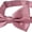 Dusty Rose, variant on Jacob Alexander Men's Solid Color Extra Large Pre-Tied Bow Tie - Silver