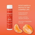 ALIDA PURE Tangerine Lip Balm, Vegan, Cruelty Free, Beeswax Free