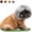 Silver, variant on Funny Adjustable Dog Cat Cosplay Wig Pet Headwear for Halloween Christmas Party Festivals for Small Medium Large Pets