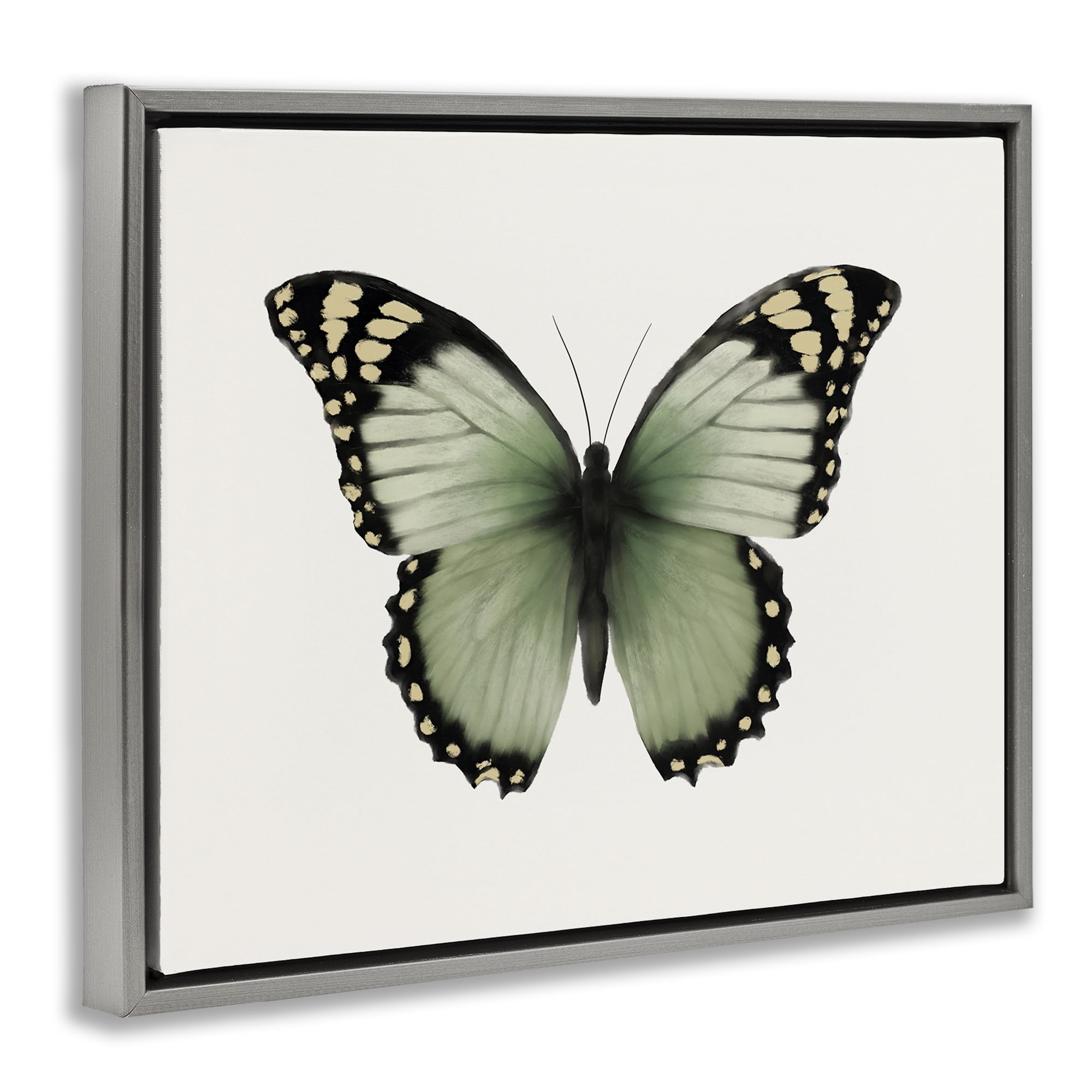 Stupell Industries Green Symmetrical Butterfly Animals Painting Gray Floater Framed Canvas Art Print Wall Art, 21 x 17