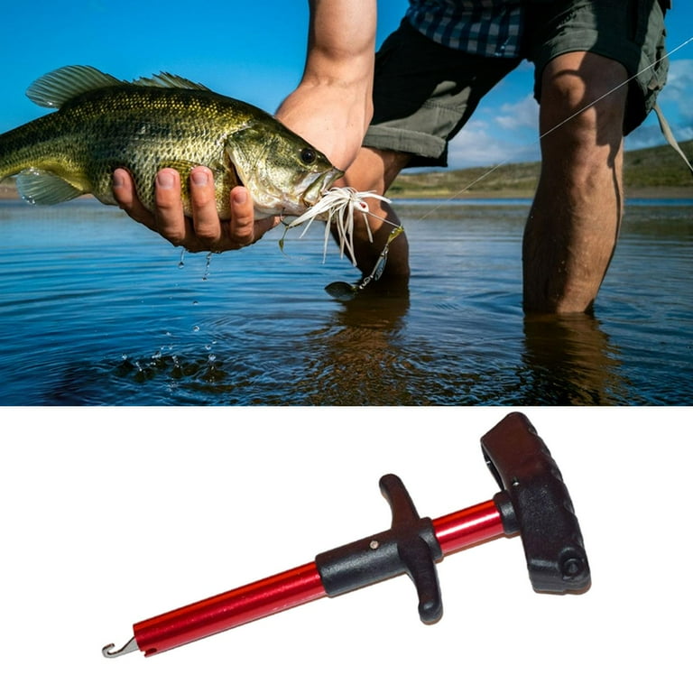best kind of reel for bass fishing The Best Spinning Reels for Bass of 2026, Expert Tested