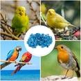 thumbnail image 3 of Blue Plastic Pigeon Leg Rings for Identification Suitable for Various Birds Durable and Compact 100Pcs, 3 of 8