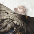 thumbnail image 2 of Rocae Noble Style Bald Eagle for Pet Blanket Dog Blanket Cat Blanket Soft Sleep for Small Medium Pet-Medium, 2 of 8
