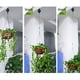 thumbnail image 3 of Polea para plantas, retráctil, resistente, de fácil acceso, para colgar plantas, cestas de flores, ganchos compatibles con cestas de jardín, macetas y comederos para pájaros, 3 of 5