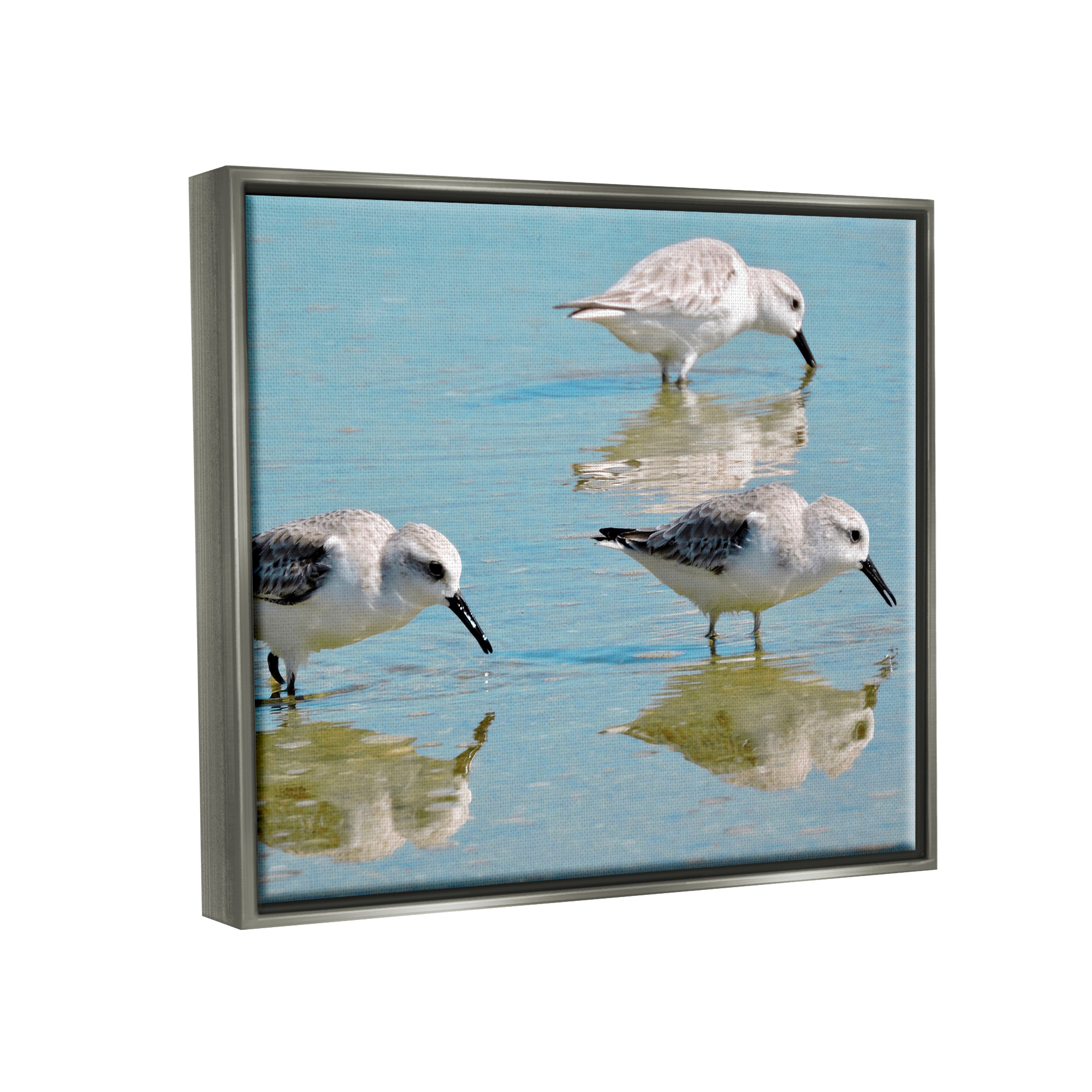 Stupell Industries Sandpipers Shallow Water Reflection Coastal Photography Gray Floater Framed Art Print Wall Art