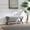 Light Grey, variant on ECOBUY Velvet Upholstered Double Bench with X-Crossed Legs, Green Plywood Frame, 42 Inch Living Room Ottoman