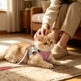 thumbnail image 4 of PEONAVET Cat Harness and Leash Set, Color Blocked Pet Strap And Leash Set Breathable Mesh Vests With Adjustable Straps Suitable For Small And Medium Cats And Dogs(Pink), 4 of 7