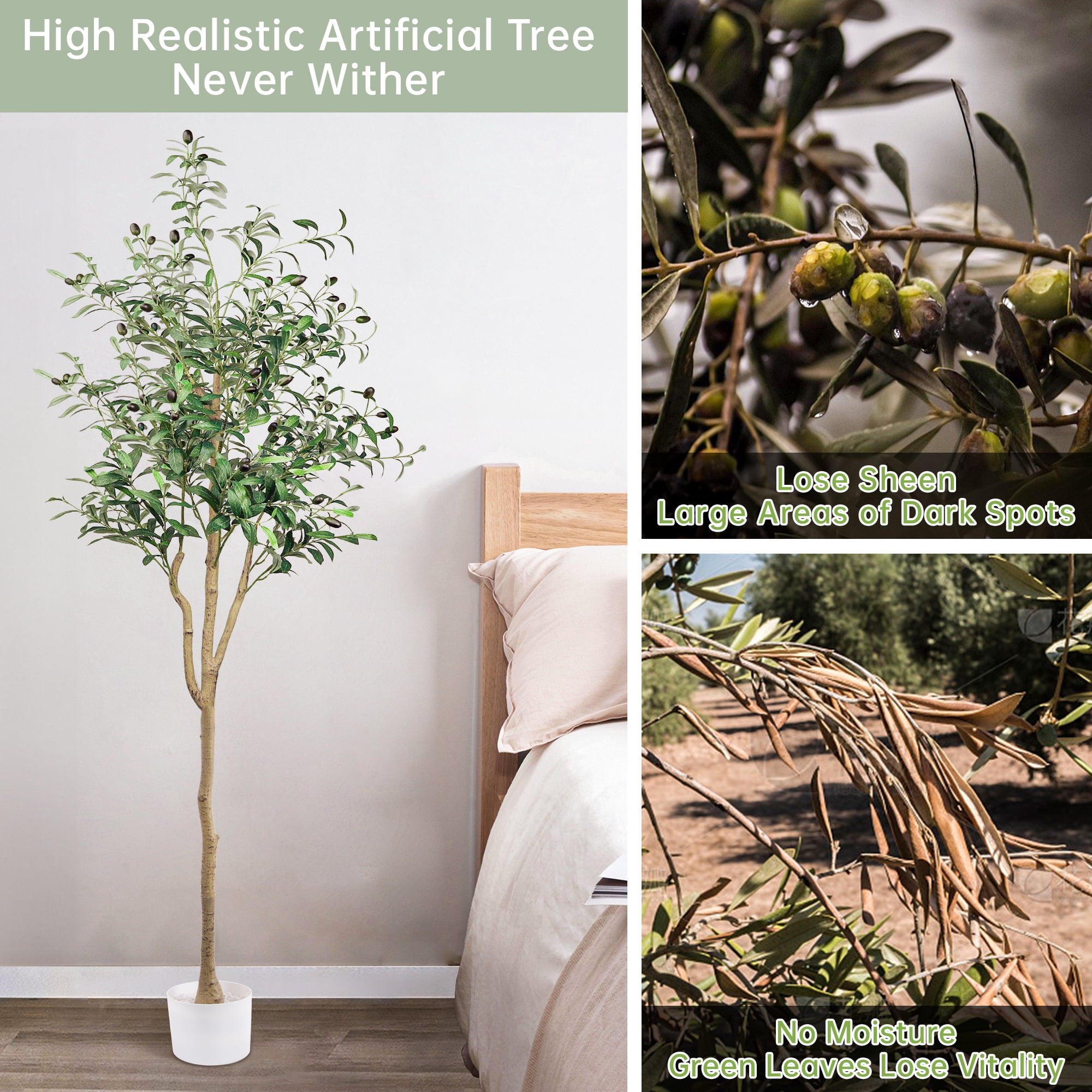 GPED Artificial Olive Trees, 6FT Fake Olive Trees for Indoor, Faux Olive Silk Tree with Lifelike Fruits, Large Olive Plants with White Planter for Home Decor and Housewarming Gift, 1 Pack