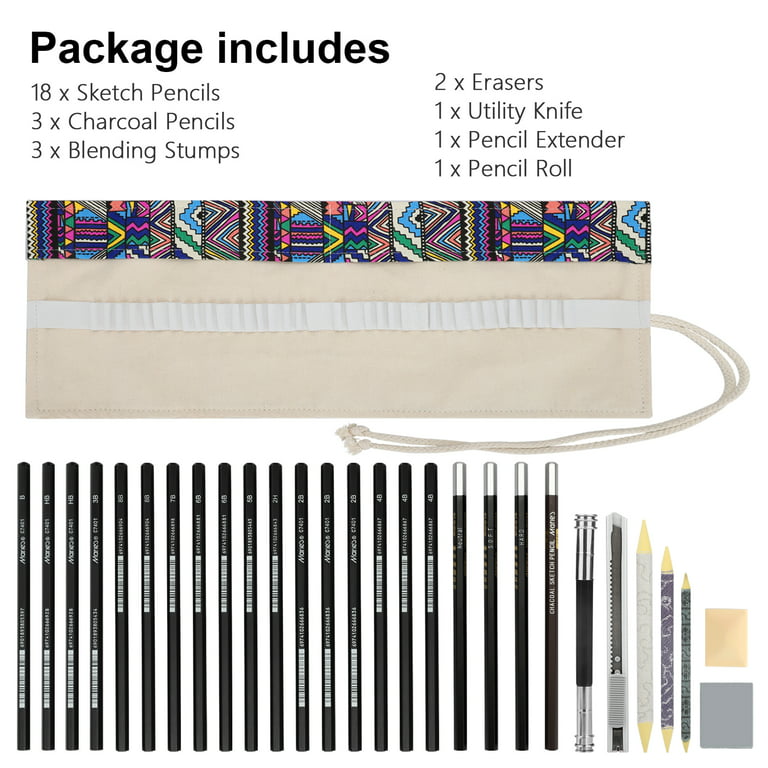 Heshengping Kit de 31 lápices de dibujo para dibujar, estuche de viaje  portátil para artistas, incluye grafito, carbón, lápiz de color blanco,  tocón