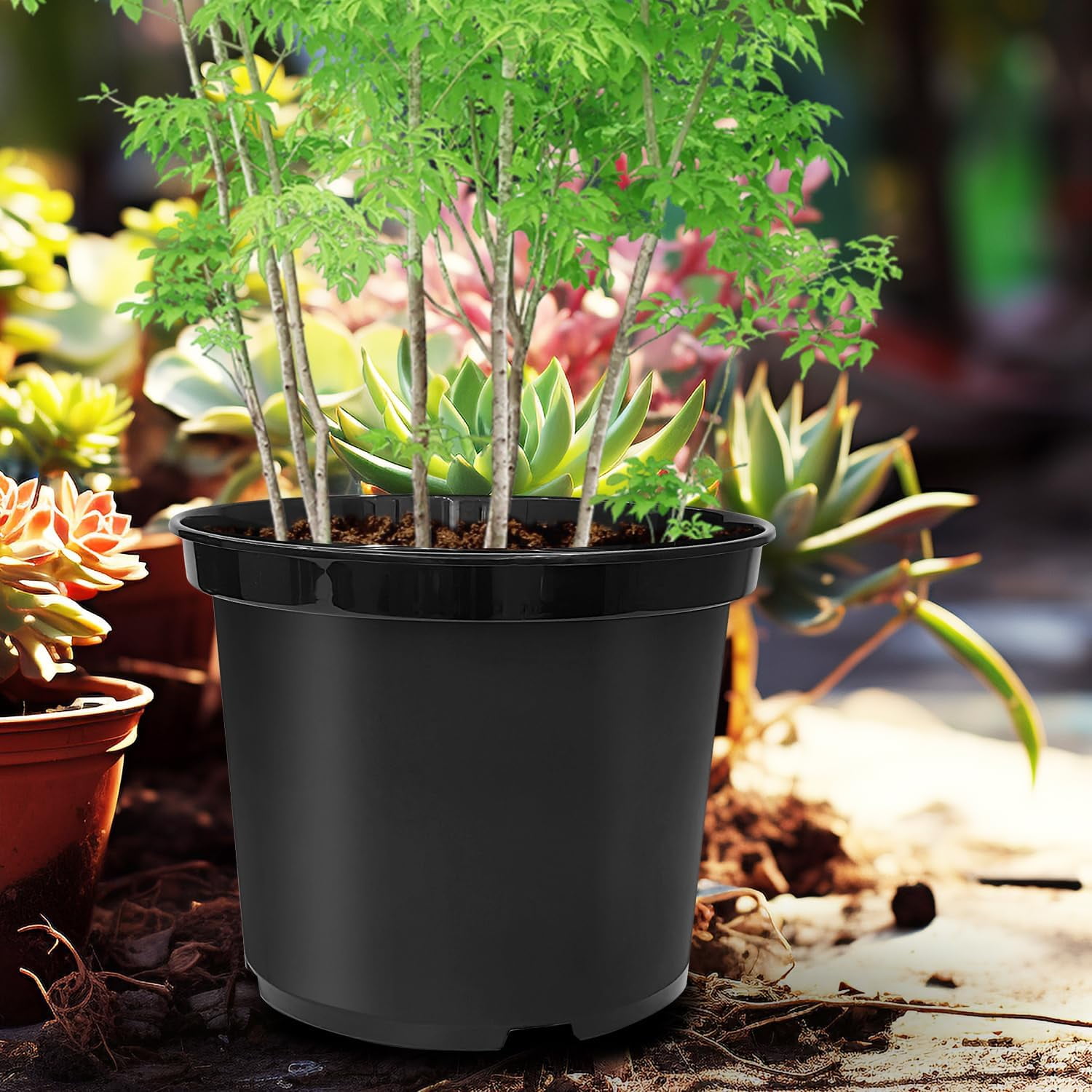 5 Gallon 12 Inch Plastic Nursery Pots, Plant Containers with Drainage Holes, Round Sturdy Garden Planters for Indoor/Outdoor Greenery, Gardening Gifts for Women (5-Pack, Green)
