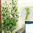 thumbnail image 3 of Frogued 50Pcs Vine Holder Self adhesive No Punching Easy Installation Invisible Sticky Plants Support Plastic Wall Climbing Vine Clip Gardening Supplies, 3 of 13