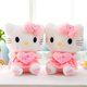 thumbnail image 2 of NS3 55cm Sanrio Hello Kitty Peluche Muñecas Regalo Para Niñas Decoración Del Hogar Almohada De Tiro Amor Corazón Juguetes De Para Niños Fivean unisex, 2 of 2