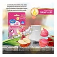 thumbnail image 3 of Aromatizante de ambiente continuo Great Value Fruity Blossom 1 repuesto, 3 of 5