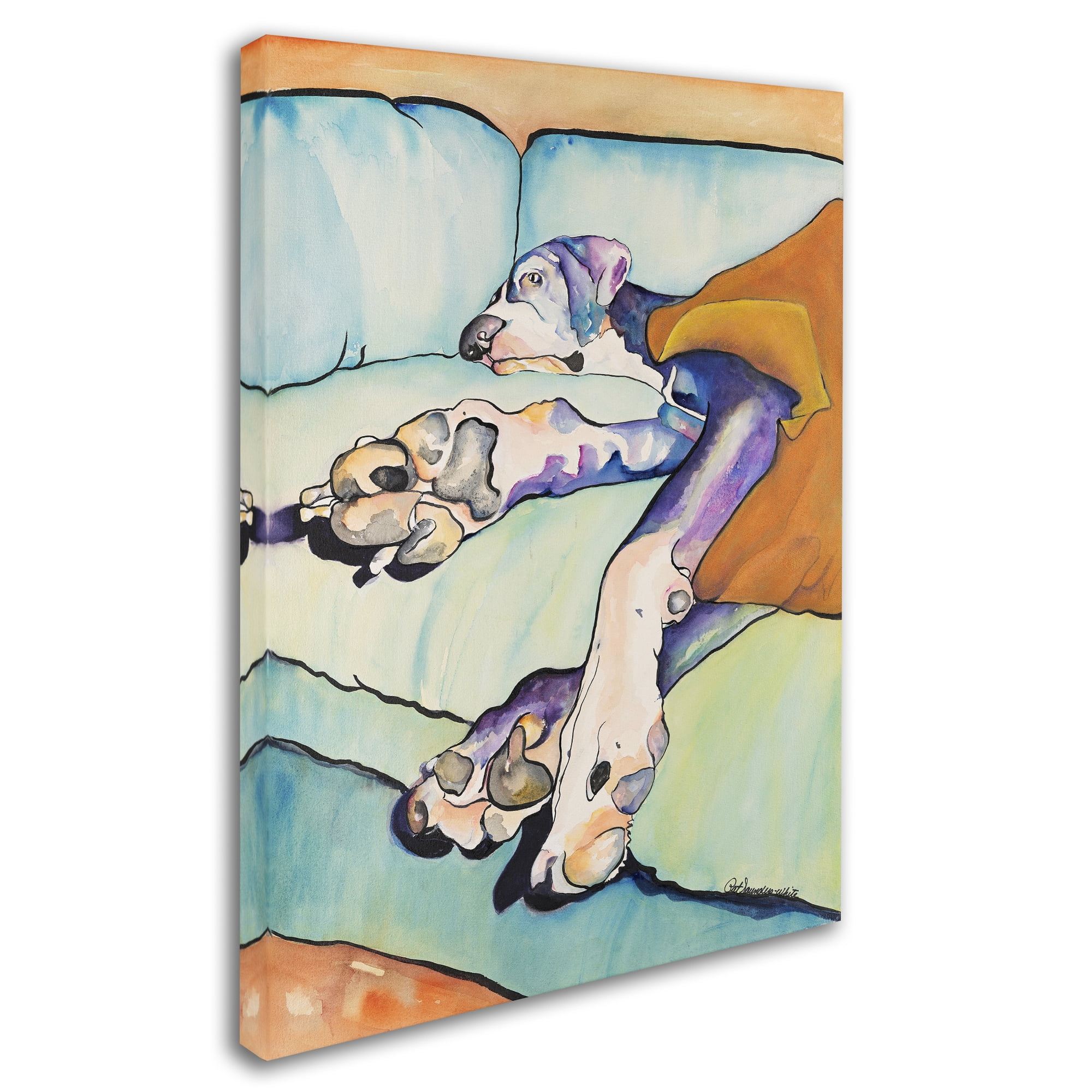 Trademark Fine Art "Sweet Sleep II" Canvas Art by Pat Saunders-White