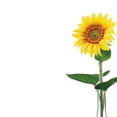 thumbnail image 2 of Great Papers! Sunflower Day Everyday Letterhead White 80/Pack (2020148), 2 of 3