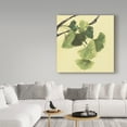 thumbnail image 3 of Trademark Fine Art 'Gingko Leaves I Dark' Canvas Art by Chris Paschke, 3 of 3