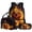 Flame Brown Bear, variant on Psesaysky Lightning Elephant Backpack And Lunch Box Set with Pencil Case 3 Pcs Animal Theme Backpack Set School Bookbag 3 In 1 Elementary Middle High School Backpacks Rucksack