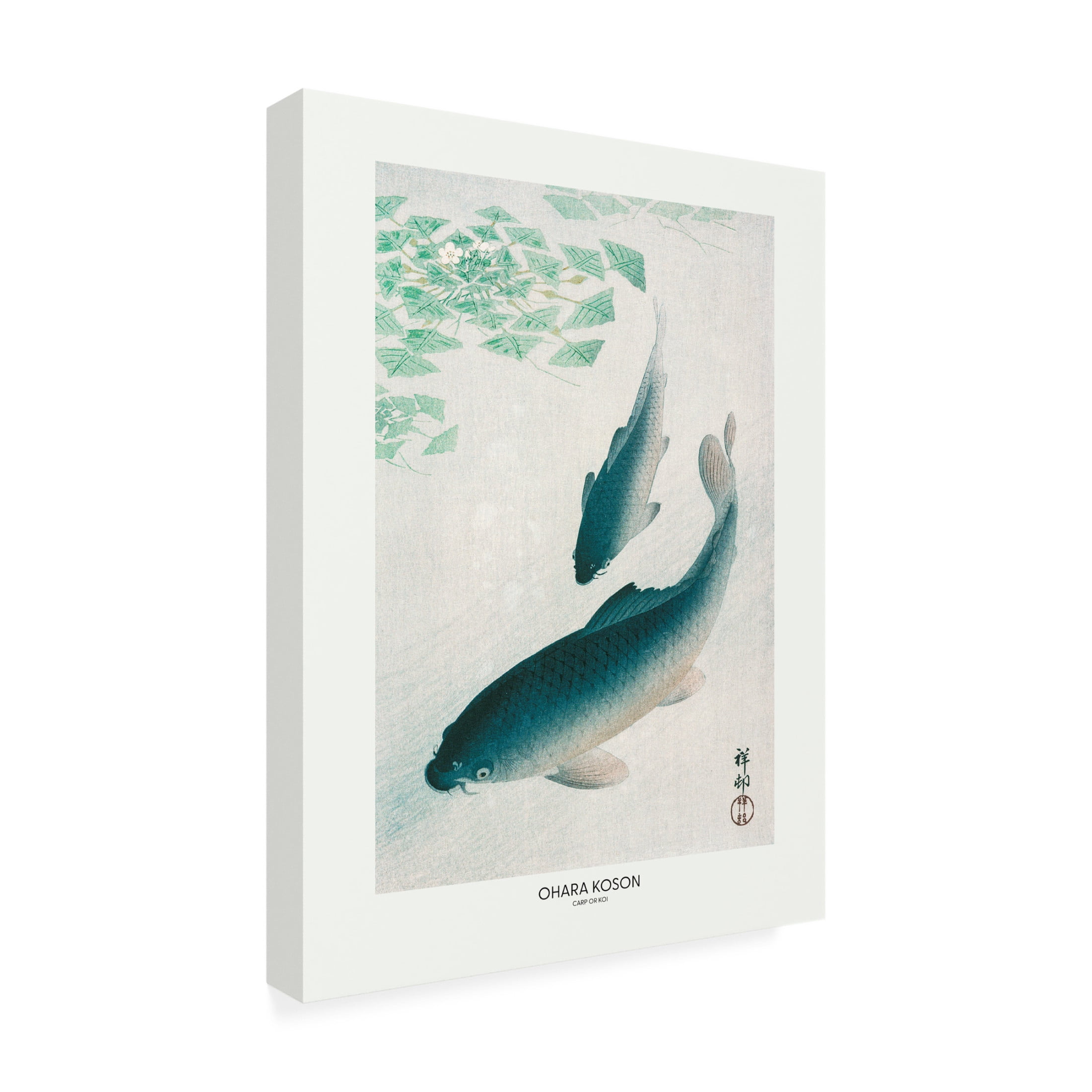 Trademark Fine Art Pictufy Carp Or Koi Canvas Wall Art