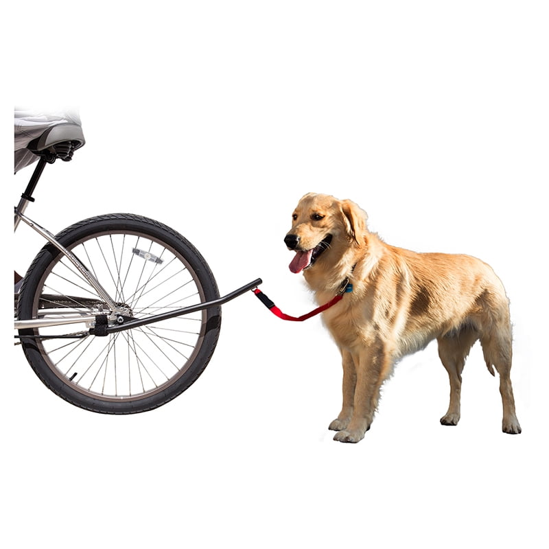 dog bike leash walmart