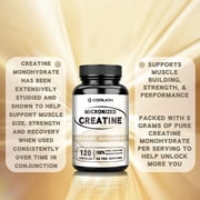 Micronized Creatine Capsules - Muscle Building Support, Improve Performance & Strength - 120 Capsules