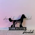thumbnail image 3 of Shinelab FLoral Chinese Crested Metal Sign, Custom Name Family Dog LED Wall Art, Animal Home Decor 8293, 3 of 3
