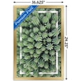 thumbnail image 3 of Cactus - Group Wall Poster, 14.725" x 22.375", Framed, 3 of 5