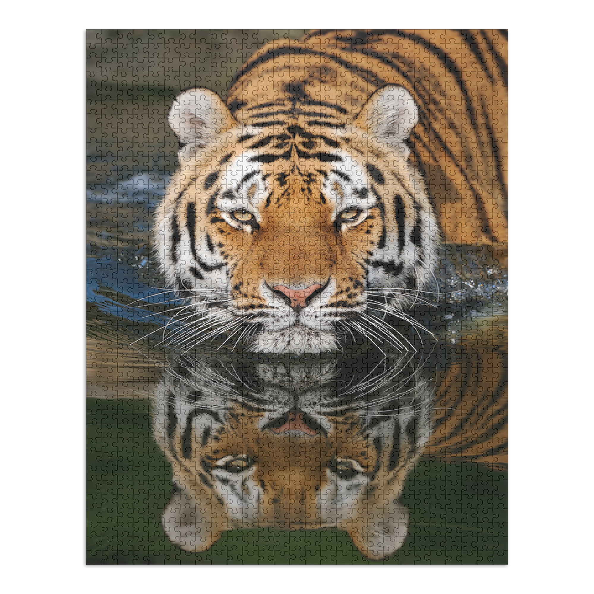 Jigsaw Puzzle 5000 Pieces Adult Family and Friends White Tiger Difficult and challenging Jigsaw Puzzle Suitable for Teacher Gifts and Home Decoration