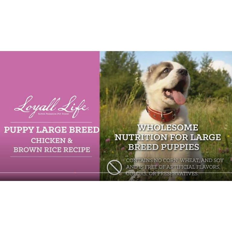 Nutrena Loyall Life Large Breed Puppy Chicken Brown Rice Recipe Dog Food 40lb