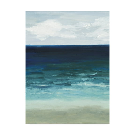 Trademark Fine Art 'Sand fiddler Drive I' Canvas Art by Grace Popp