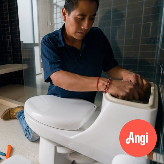 Toilet Clog Correction