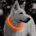 thumbnail image 2 of USB Rechargeable LED Dog Collar Glowing pet Dog Collar for Night Safety  Water Resistant Cuttable TPU Light Up Collars Fashion Light up Collar for Small Medium Large Dogs, 2 of 6
