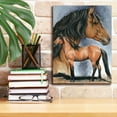 thumbnail image 3 of Epic Graffiti 'Kiger Mustang' by Barbara Keith, Canvas Wall Art, 12"x16", 3 of 8