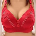 thumbnail image 2 of Womens Oversized Bra, Thin Without Steel Ring, Breasted Lace, Traditional Embroidered Bra, 2 of 3