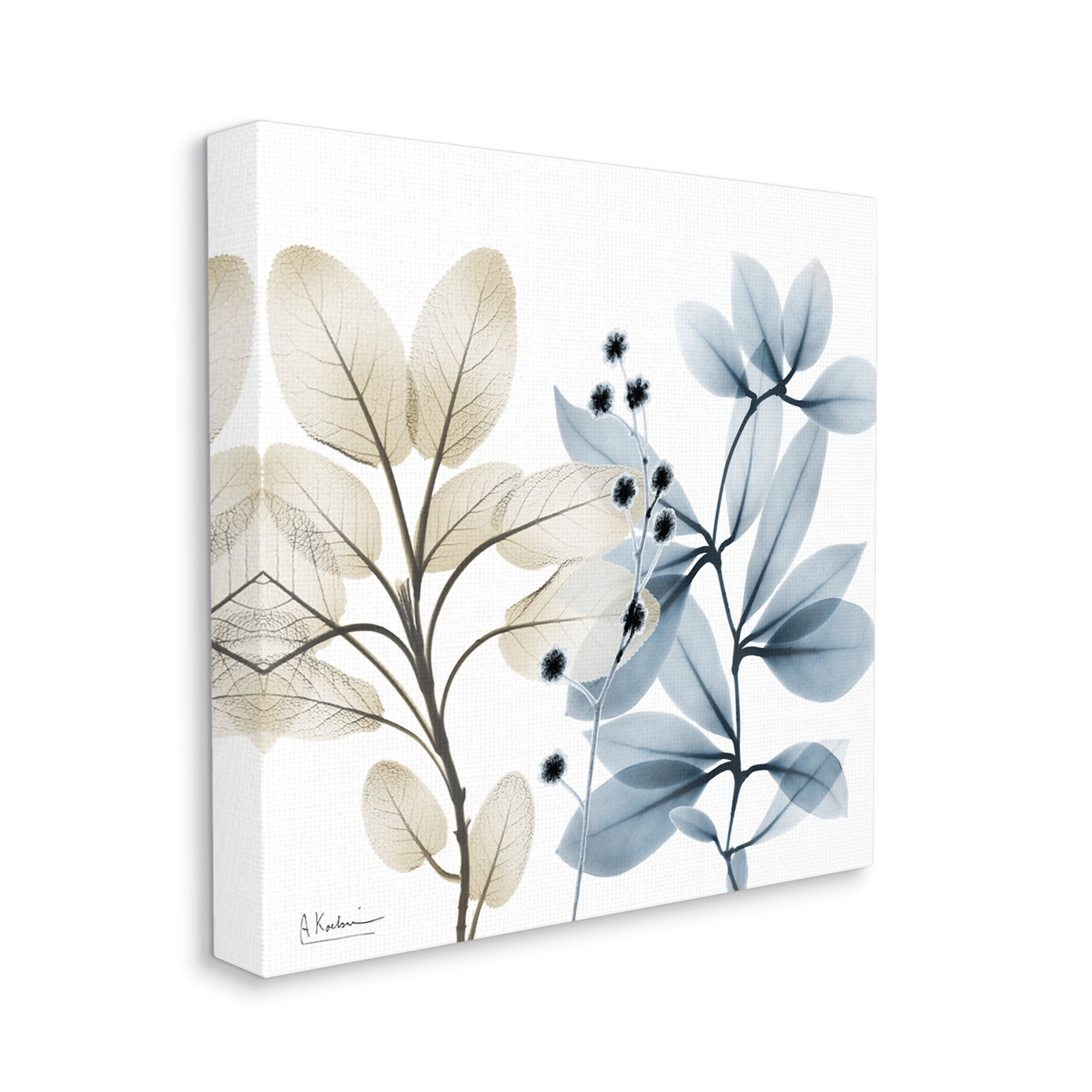 Stupell Industries Blue & Beige Plants Botanical & Floral Painting Gallery Wrapped Canvas Print Wall Art, 24 x 24