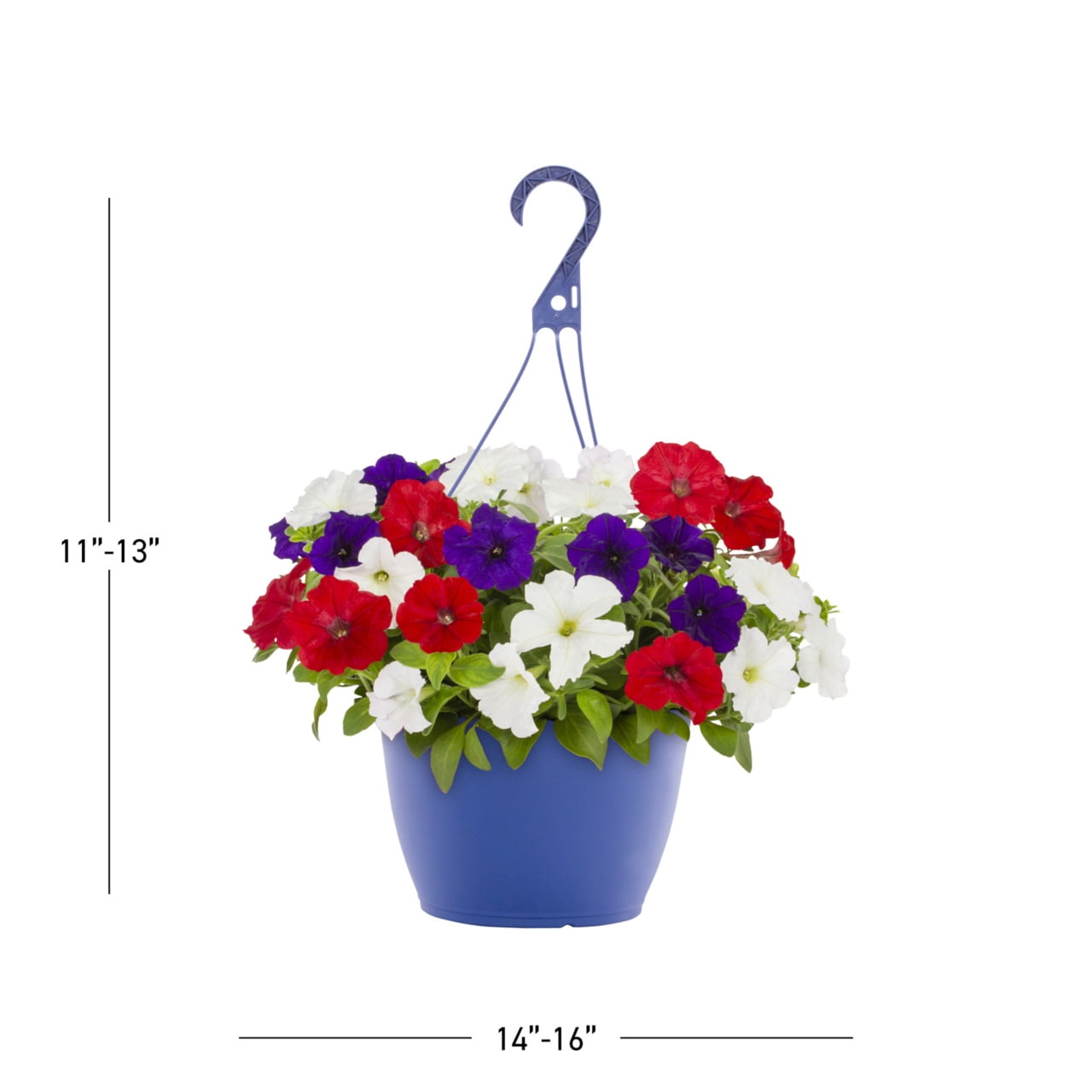 Expert Gardener 1.5gal Multicolor Petunia Live Annual Plant Hanging Basket Sun