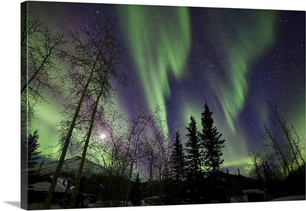 Great BIG Canvas "Trees with Northern Lights waves and curtains