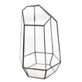 View all media