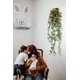 thumbnail image 2 of Plantas colgantes artificiales con flores de rosa, guirnalda de 4.5 pies, flor colgante falsa, cadena verde, pared de la casa, habitación, jardín, boda, interior, exterior, decorativa (no incluye cesta) Zhivalor  CZJJ-HQ53-2, 2 of 5