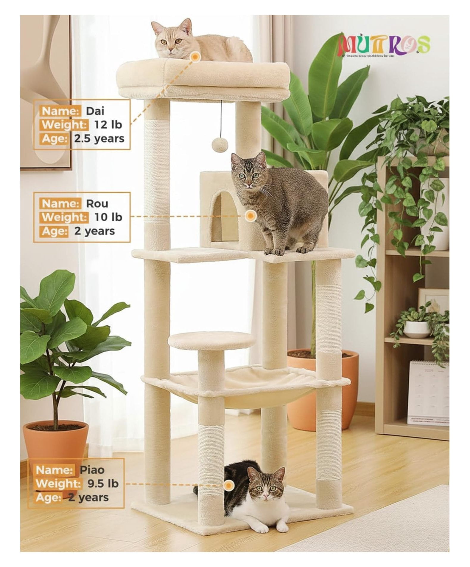 Cat Tree for Large Cats, 56.3" Tower with Hammock & Condo, 6-Tier Cat Shelves, Scratching Posts, Beige