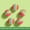 30#A88#, variant on Silent Cat Toy Elastic Micro Balls Set Indoor Play, Quiet Bounce Safe Self Entertainment Colorful Lightweight Easy Carry Stimulate Instinct, For Cats Indoor Independent Play Stress Relief