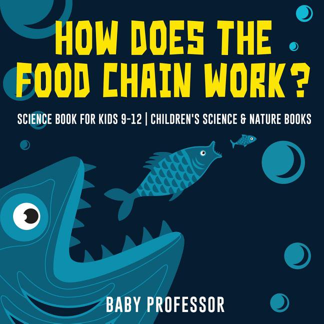 How Does the Food Chain Work? Biology Diagrams