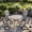 Gray Table-Gray Chairs, variant on Vicllax 5Piece Outdoor Patio Dining Set, 41 Inch Round Table with Umbrella Hole and All-Weather Patio Swivel Chairs set of 4, Gray Table and Gray Chairs
