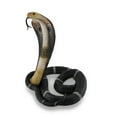 Veronese Design Coiled and Rearing King Cobra Sculptured Statue