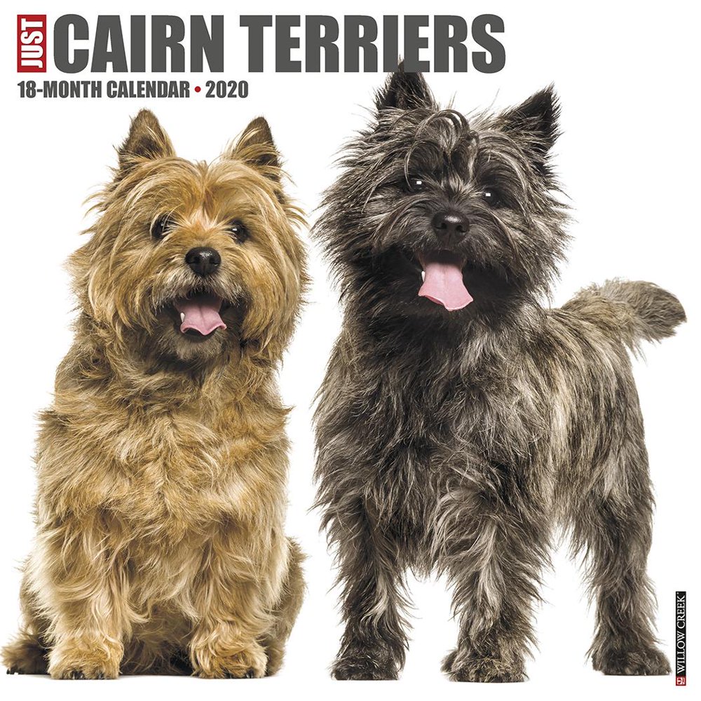 Just Cairn Terriers 2020 Wall Calendar (Dog Breed Calendar) (Other