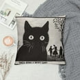 thumbnail image 2 of Qinduosi Pillow Covers Black Cat Don T Go Outside Pillow Cover Black and White Pillowcover Soft Double Side Print Sofa Linen Square Throw Pillowcovers  inch for Living Room Bedroom Car Decor, 2 of 5