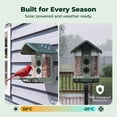 thumbnail image 4 of Kiwibit Solar Smart Bird Feeder with Camera, 8MP 4K UHD Video, Long Battery Life, AI Identify 10000+ Species, Ideal Gifts for Bird Lovers, Green, 4 of 11