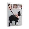 thumbnail image 1 of Custom Canvas Gallery Wraps - Pet Lover Gifts, 1 of 24