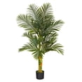 thumbnail image 1 of Nearly Natural 60" Golden Cane Artificial Palm Tree in Green/Black, 1 of 6