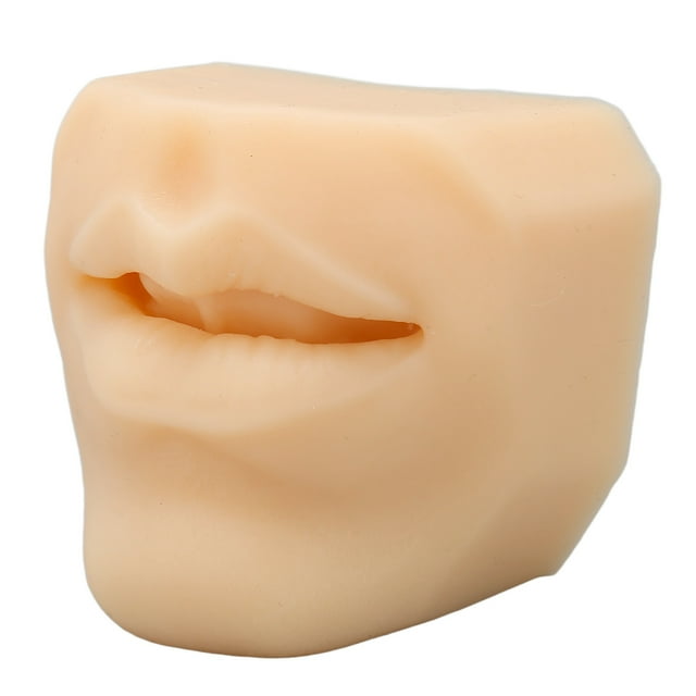 Modèle de Bouche Simulée, Taille Portable Réutilisable en Silicone Souple pour Enseignement d'Acupuncture