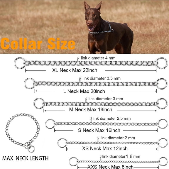 GASTROPOD Xxs Xs Dog Collar,Tiny Breed Puppy Training Chain Collar for Small Dogs | Adjustable Alloy Stainless Metal,Slip Training Design Controls Pulling Instantly,Smooth Links Anti-Rust